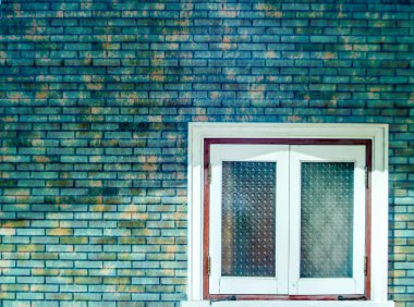 ahşap kapı ve turuncu yonca ve Sünger bulaşık duvar kağıdı