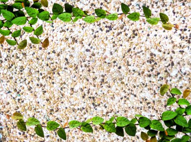 yeşil yaprakları sınır kumtaşı doku üzerinde