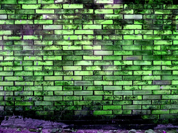 Ancient brick wall background green tone surface — Stock Photo, Image
