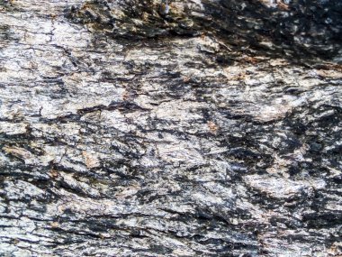 Doğa tropikal bölge tarafından eski ahşap yüzey