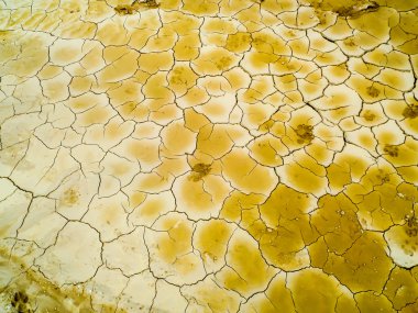 ayak üzerinde kuru kir yok hayatta kalma boyar.