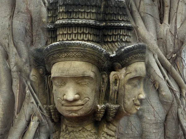 Brahma cabeza estado religión arte incrustar en el árbol bodhi backgrou —  Fotos de Stock