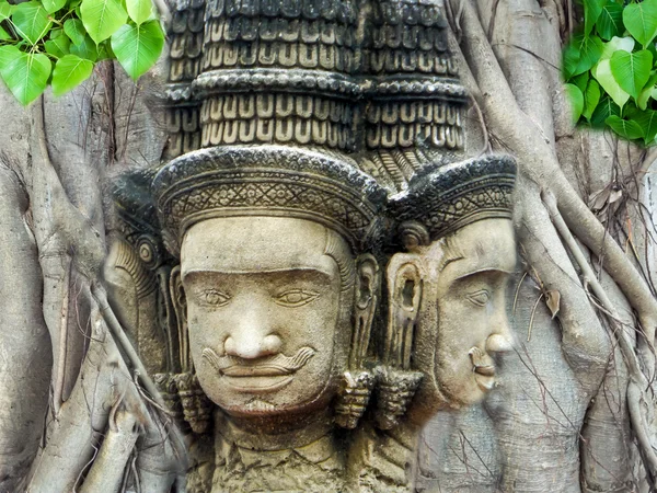 Brahma cabeça status religião arte incorporar na árvore bodhi — Fotografia de Stock