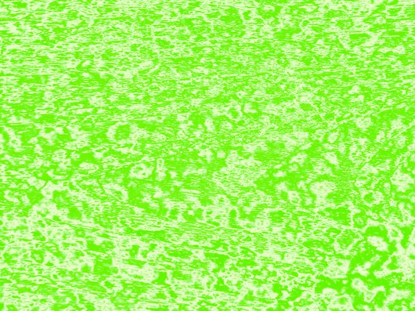 Macchia verde spazzola acqua asciutta terreno di calce — Foto Stock