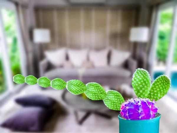 green cactus long hand purple ball living room background