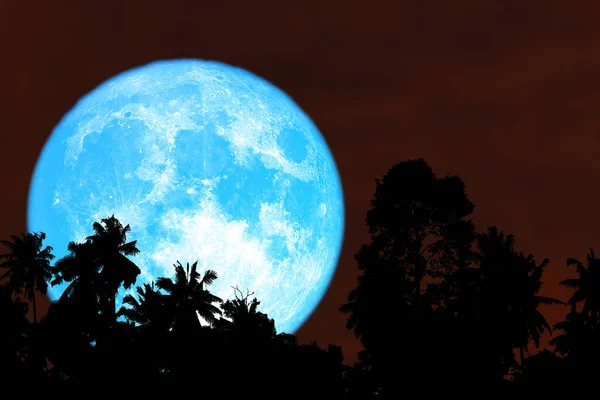 Super Récolte Bleu Lune Silhouette Arbres Dans Ciel Rouge Nuit — Photo