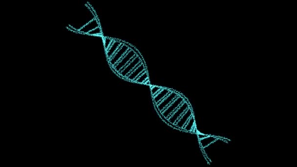 DNA estrutura digital ciência biotecnologia animação 3D girar na tela preta — Vídeo de Stock
