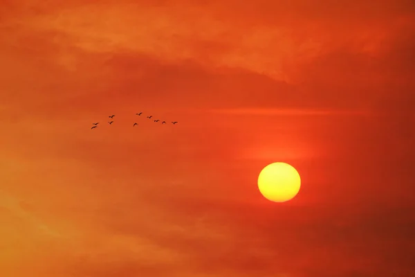 夕方の黄色の夕日空にオレンジ色の赤い暗い雲と家に飛ぶ鳥 — ストック写真