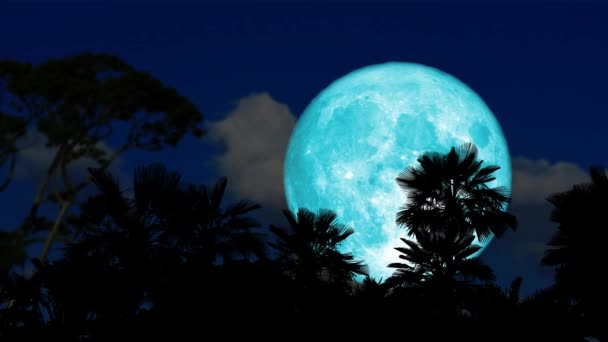 Super castor azul luna subir de nuevo oscuro nube y silueta palmera en el cielo nocturno lapso de tiempo — Vídeo de stock