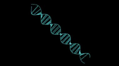 DNA dijital özel yapı bilim biyoteknoloji animasyonu siyah ekranda 3D döndürür