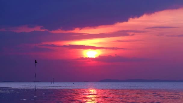 Pôr Sol Mar Silhueta Bandeira Balanço Céu Escuro Lapso Tempo — Vídeo de Stock