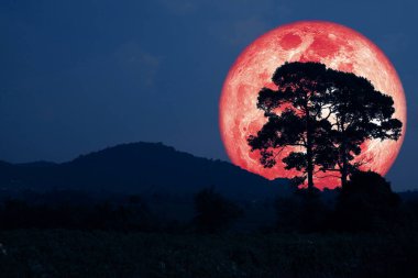 Süper hasat kırmızı ay silueti dağı ve gece gökyüzündeki tarla NASA tarafından döşenmiş bu görüntünün elementleri.