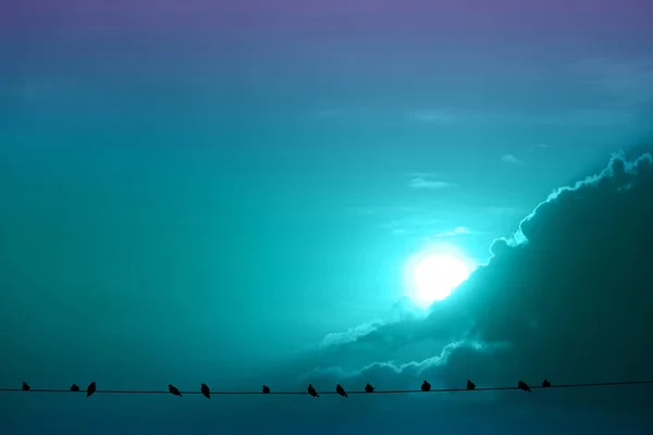 Harvest Blue Moon Silhouette Birds Hang Powe Electric Line Cloud — Stok Foto