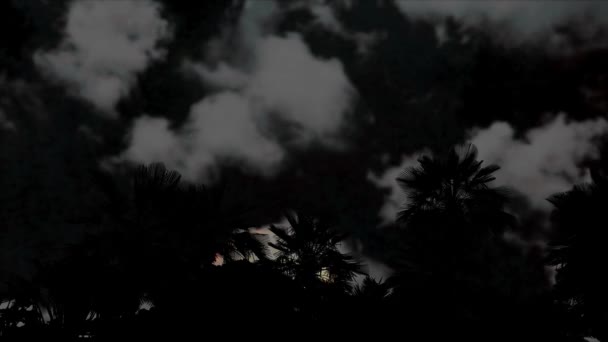 Super αίμα κρύο φεγγάρι άνοδο πίσω σιλουέτα καρύδα δέντρο με σκούρο σύννεφο στο νυχτερινό ουρανό time lapse — Αρχείο Βίντεο