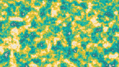 serin, parlak güneş çiçeği ve okyanus rengi yüzeyi soyut duvar hareketinin arka planından yavaşça düşerler