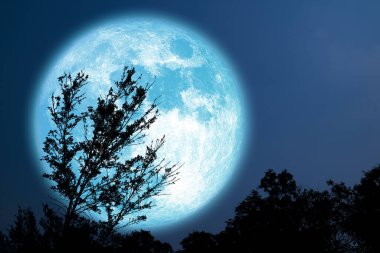 Süper Tahıl Mavi Ay siluet ağacı gece gökyüzünde tarlada, NASA tarafından döşenmiş bu görüntünün elementleri