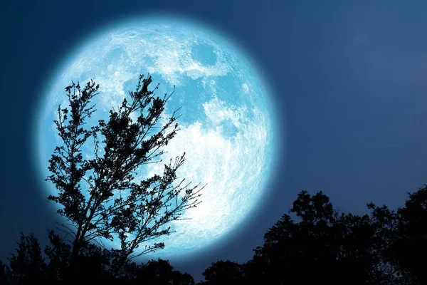 Super Grão Azul Lua Silhueta Árvore Campo Céu Noturno Elementos — Fotografia de Stock