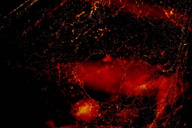 Örümcek ağı bokeh ile bulanık soyut ve sanat ve koyu kırmızı ton arka plan