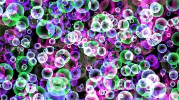 Blur green blur with magenta and dark violet bubbles floating on black screen with white star on the black screen — Stock Video