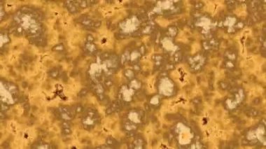 Lüks altın parlak alev rengi yüzey hızlı akış soyut duvar taşı hareket arkaplanı