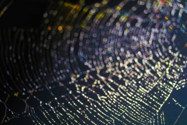 Renkli gökkuşağı bulanıklığı ve bokeh soyut ve örümcek ağı sanatı, çiy damlası ve yağmur, web ve karanlık arka plan