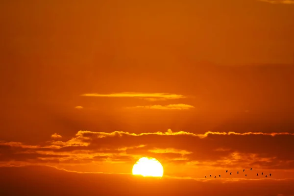 Hermoso Atardecer Aves Volando Rojo Blanco Nube Naranja Amarillo Oro —  Fotos de Stock