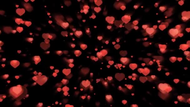 Миллион частиц красных сердец и элемент вверх и вниз масштаб быстрый миг и луч на черном экране, тема Валентина — стоковое видео