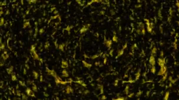 Abstrakcyjna tajemnica złoto i ciemna miedź powierzchnia szybki przepływ na tle płytki ruchu ściennego — Wideo stockowe