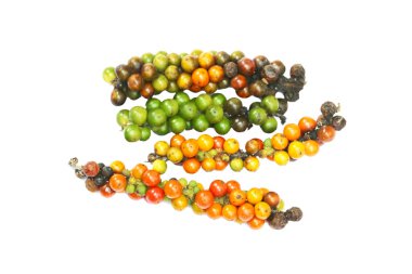 Çiğ taze ve kuru biber renkli ve çok renkli izole edilmiş arkaplan