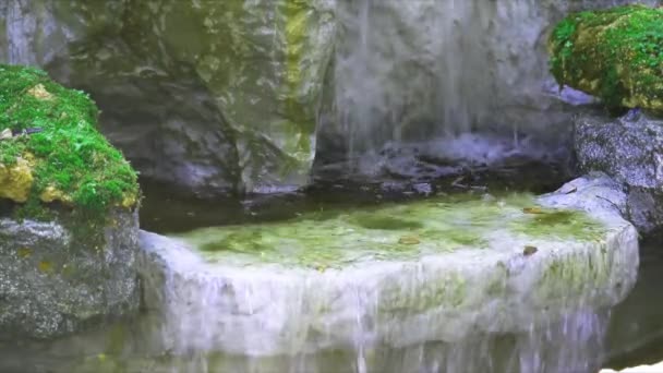 Wasserfall und grünes Moos auf dem Felsen mit in der Luft schwebender Wasserspritze — Stockvideo