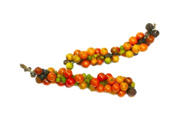 Renkli ve çok renkli taze ve kuru biber izole edilmiş arkaplan