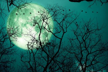 Süper mersin balığı yeşil ay ve gece gökyüzündeki siluet kuşlar, NASA tarafından desteklenen bu görüntünün elementleri