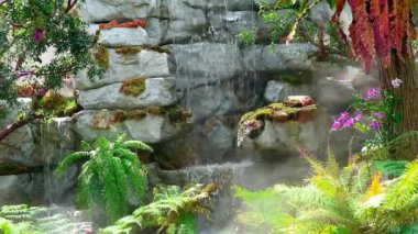 plant tree and flower blooming and yellow green leaves and blur blue waterfall background in the summer