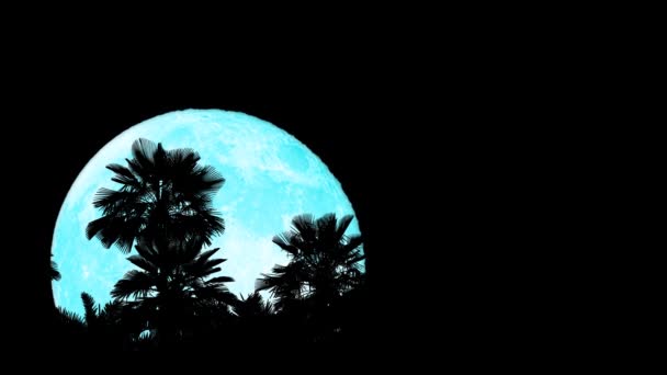 Super luna blu sorgere indietro silhouette alberi di cocco superiore sul cielo notturno lasso di tempo — Video Stock