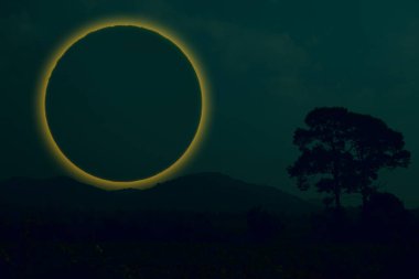 Halka eklipse ay geri döner siluet ağacı ve dağ gece gökyüzünde
