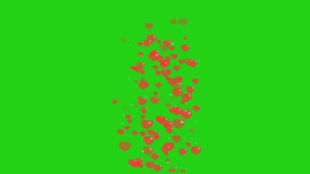 Hundred red hearts with reflection particles white star moving on transparent green screen background — Stock Video