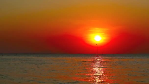 Solnedgång röd blå gul himmel med mörkt moln över havet och siluett flagga på bambu — Stockvideo