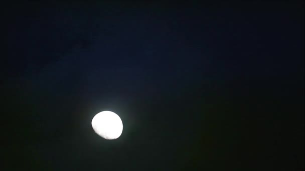 Voskování srpek sklizeň měsíc zpět silueta transparentní tmavý mrak na noční obloze — Stock video