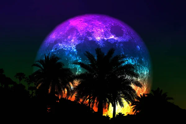 Super Bloem Kleurrijke Maan Terug Silhouet Palmboom Aan Nachtelijke Hemel — Stockfoto
