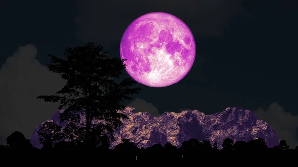 夜空のシルエットの山の上の満月と木 Nasaによって提供されたこの画像の要素 — ストック写真