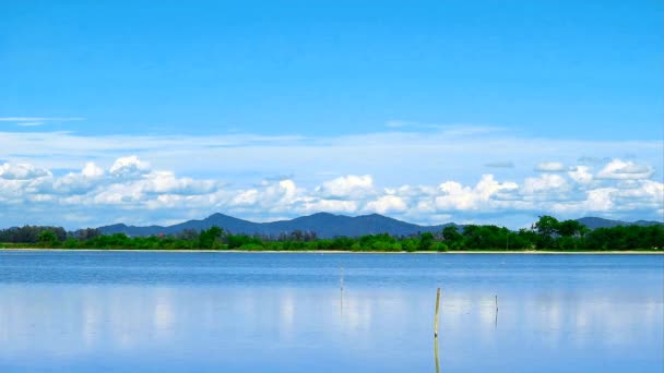 Reflexió bambusz vízben a tó dombon és kék ég fehér felhő háttér nyáron — Stock videók