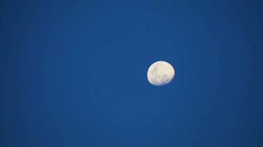 Berrak Mavi Gökteki Huzurlu Ay Gün Işığı Altında Yakalandı