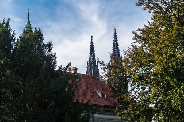 Вежі кафедральний собор святих Віта — стокове фото