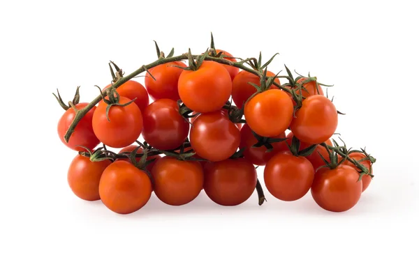 Verse rode tomaten met groene brunch op wit. — Stockfoto