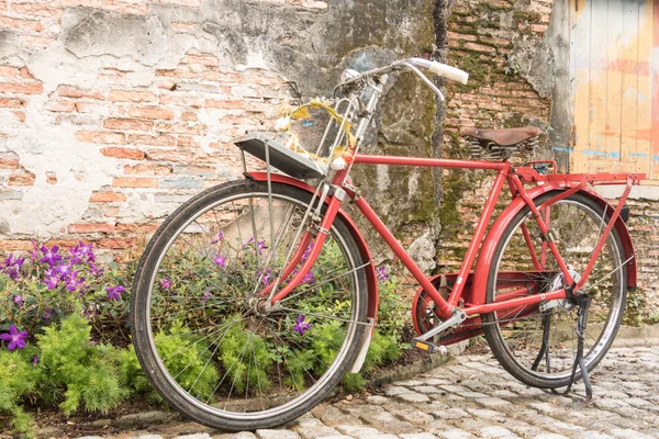 eski parkta Vintage Bisiklet.