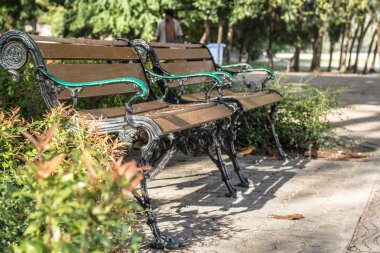 Zeki, güzel parklar sabah.