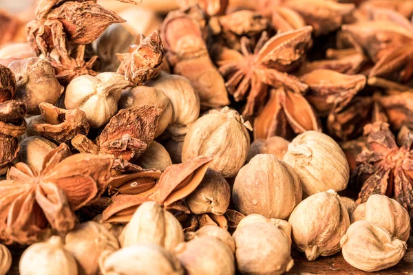 Bitkisel yaşam için