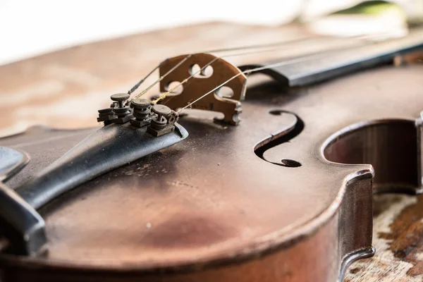 Keman çok melodik müzik aletleri ile sesidir.