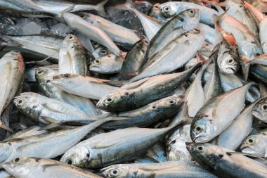 Enerji için rüzgar türbini.