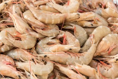 Enerji için rüzgar türbini.